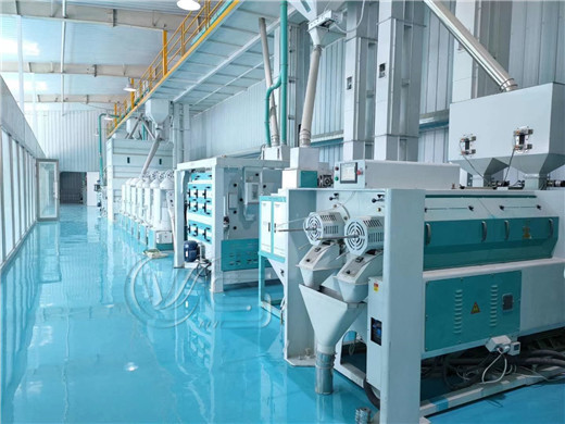 500tpd_rice_mill_plant_manufacturer