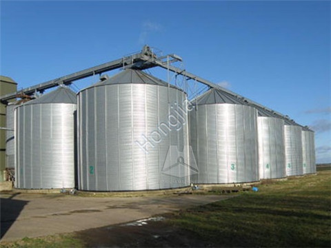 Flat_Bottom_Grain_Silo 13
