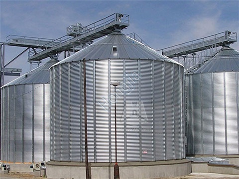 Flat_Bottom_Grain_Silo