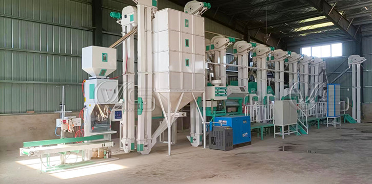 rice_process_mill_price